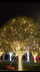 Bộ Đèn LED sao băng giọt nước thả LED mưa sao băng trang trí ngoài trời 8 ống - 30cm - AC 220V kín nước