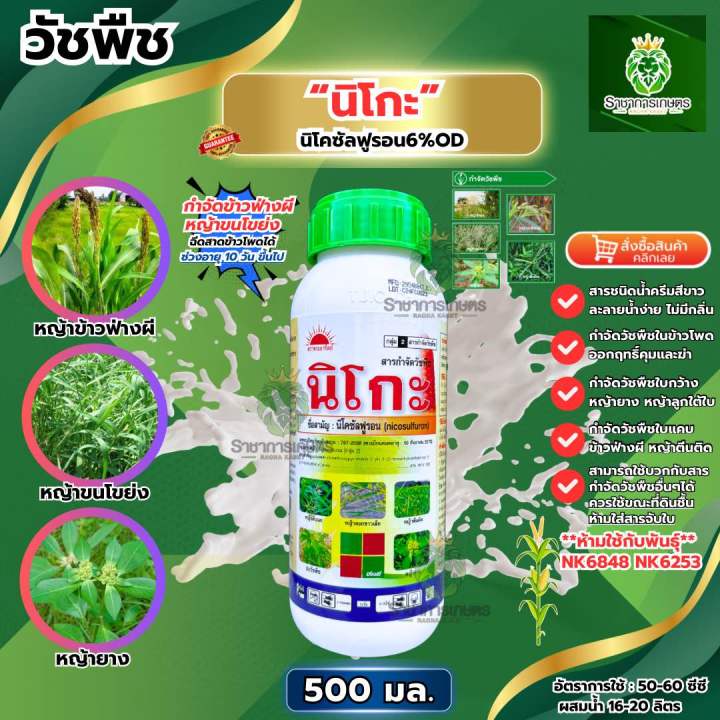 นิโกะ นิโคซัลฟูรอน6% สารกำจัดวัชพืชในข้าวโพด