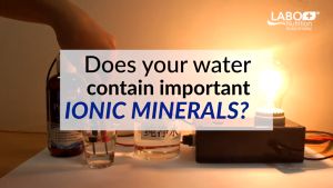 Precious Dew 237ml is 100% Natural Mineral Concentrate Restore Body Essential Minerals Balance pH & Electrolyte Food Supplement