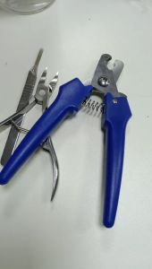 Youngke กรรไกรตัดเขี้ยว กรรไกรตัดหางหมู ทำคลอดลูกหมู คีมตัดหางหมู อุปกรณ์สัตวืเลี้ยง สำหรับเลี้ยงหมู ฟารม์หมู ลูกหมู ลูกสุกร