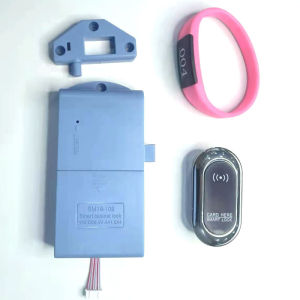 IC Smart Lock