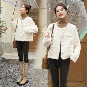 Fashionable Short Lamb Fur Jacket Womens Stylish Slimming Integrated Leather And Fur Coat Hong Kong Style Winter New Arrival