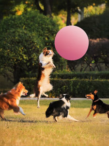 ETY | Inflatable Pet Toy 36 Inch Outdoor Photo Prop