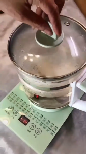 HENDO Electric Health pot Teapot 1.8L Multi-function Electric Kettle Thick Glass Kettle Thermos 3-pin Plug 養生壺 迷你