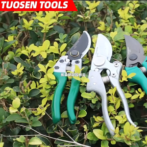 SK5 Pruning Shear Gardening Tools Branches Cutter Plant Trimmer Garden Scissor Gunting Pokok Bunga