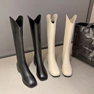 Bốt Đùi Da Cao Gót 7p Vạt Nhọn Có Lót Lông FULLBOX Hàng Siêu Đẹp