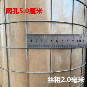 Galvanized Zinc Iron Wire Fence Outdoor Barrier for Home Use Chicken Farming Small Hole Protection Net Low Carbon Steel Wire