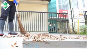 Sapu Lidi Sapu Kebun Panjang Gunung Sewu Berkualitas