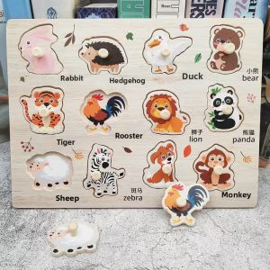 Shape Color Matching Puzzle Toy Educational