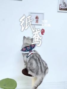 Pet Harness Leash Set Kite Design H Shape Cat Harness Small Dog Vest Dual D Ring No Tangle Leash