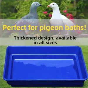 TEKANAI | Bird Bathing Tub Large