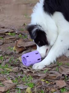 HamshMoc Pet Interactive Toy Puzzle Feeder Tennis Ball Inside Easy Clean Chewing Fun