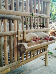 Kandang Ayam Bambu Kandang Anak Ayam