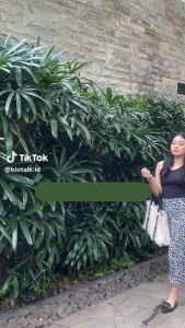 Biotalk Bundle Mencerahkan Kulit | Brightening Soap Lotion Bundle | Sabun Kopi Coffee Lotion Mencerahkan Hyaluronic Acid