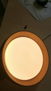 RHPOA High Quality LED Ceiling Light 20CM Wood Grain Aisle Light Eye Protection Easy Installation