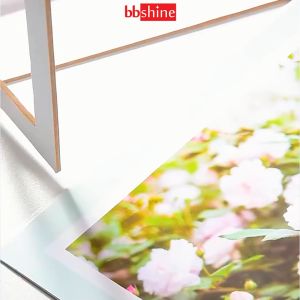 Bịt ổ điện an toàn cho bé Nút bịt ổ điện cao cấp chống giật nhỏ gọn chắc chắn có quai cầm tiện lợi BBShine SS025