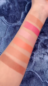 SG Ready Stock PAGE VINE Pocket Powder Blusher Stick 6-color Lipstick And Cheek Moisturizing Stick Waterproof Face Contouring Blush