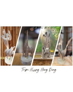 Trầm cảnh để bàn phong thuỷ gỗ trầm hương tự nhiên chưng văn phòng nhà ở mang lại tài lộc may mắn