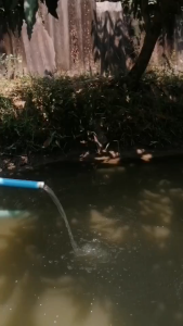 12V 24V สีด้าน ปั๊มน้ำซับเมิร์ส 12V 24V ปั๊มน้ำ 2 นิ้ว ปั้มซัมเมอร์ส