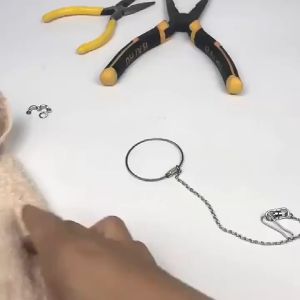 Cockatia GC Xích Combo Còi Huấn Luyện và Xích Chân Vẹt Inox Cho: Sun Ngực Hồng