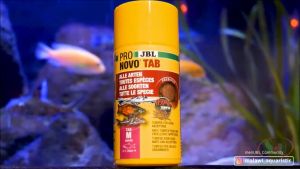 Thức ăn dán JBL Pro Novo Tab M dán thành hồ kính bể cá tép thủy sinh