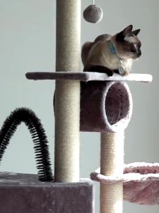 Cat Tree Large Cat Climbing Frame Cat Scratch House Tree Covered Cat Tower Cat Condo Large House