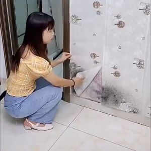 Xịt tẩy nấm mốc tường Bashi công nghệ Nhật Bản 330ml đa năng dùng cho cả mốc silicone mốc lâu ngày  mốc thạch cao