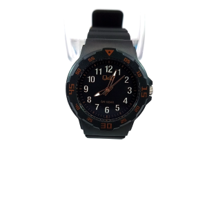 Q&Q Sports / Casual Watch (VR19J019Y)