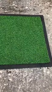 2 in 1 Disinfection Pad Mat Door Mat Disinfection Zone Dry Zone JC ELise