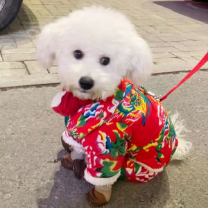 New Year Pet Dog Cotton Jacket Large Flower Four Legs Clothes Teddy Bichon Puppy Year of the Dog Traditional Chinese Costume