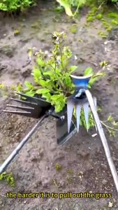 Ultimate Guide to the Steel Weed Puller & 4 Teeth Weeder