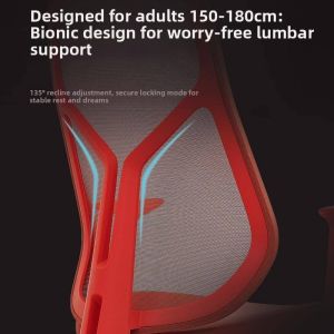 Comfortable Ergonomic Chair Long Sitting Breathable