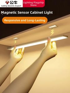Bull | Automatic On Motion Sensor Light