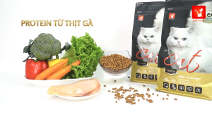 [COMBO] Hạt cho mèo Mọi Lứa Tuổi CATS EYE 1KG – Lido House Shop & Hotel