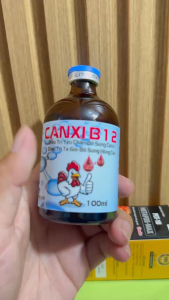 Canxi B12 Bổ Sung Canxi Điều Trị Té Gió Bổ Sung B12 Điều Ngăn Ngừa Thiếu Máu