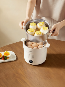 Home Use Auto Shut-off Programmable Egg Cooker Steamer