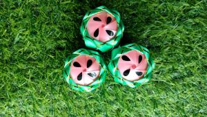 โปรยทาน แตงโม (ตัวเปล่า) 50ชิ้น