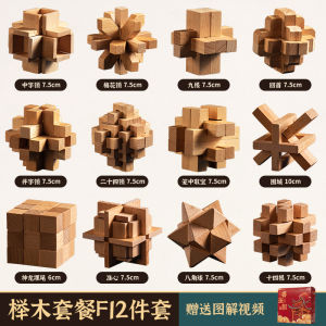 Childrens Birthday Gift Boys Girls 10 plus Years Old Eight Eleven Years Old Ten Twelve Children Educational Toys Boyfriend Male Model