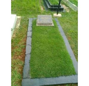 MURAH!! RUMPUT PEKING/ JEPANG UKURAN 2 METER RUMPUT TERBAIK