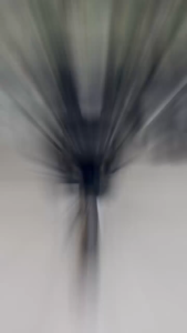 ตะกร้าหน้าแบบตาข่ายรถFINN