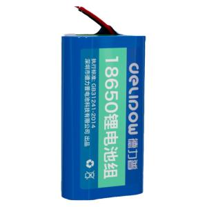 Delipow | Large Capacity Lithium Battery Pack 3.7V