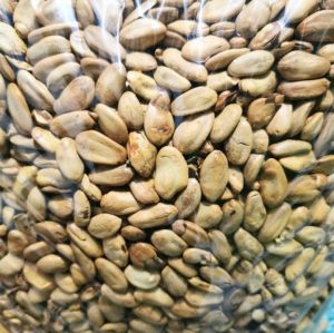 500 Gram Grade B Kacang Sengon Siap Makan Mindik Asli Kedawung Biji Murah Trembesi Kedaung Kedawong  Siap Makan Sangrai