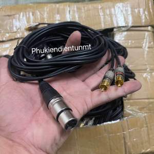 Dây canon cái ra 2 đầu AV