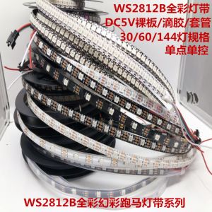 Ws2812b Magic Color LED Soft Light Belt 5V Full Color Light Bar 5050 Lamp Beads Running Water Horse Colorful Single Point Single Control