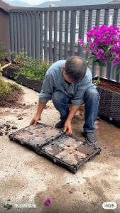 Balcony Planting Box Combination: Square Plastic Deepened and Enlarged Flower Pot Planting Box