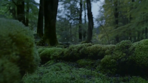 Kitchen water filter four-stage ultrafiltration water filter prevents dirt