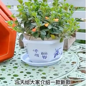 [Merlimau Nursery] HEXAGON BONSAI PLASTIC FLOWER POT /GARDENING POTS PASU BUNGA PLASTIC SEGI ENAM