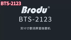 BTS-2123 4500mAh Dual 10-inch Karaoke Machine equipped with two wireless microphones and an outdoor Bluetooth speaker