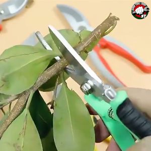 NARITA กรรไกรตัดกิ่งไม้ ด้ามABS เกรดญี่ปุ่น TOOLS SCISSORS คม ทน จับกระชับมือ กรรไกรตัดกิ่ง กรรไกรแต่งกิ่ง กรรไกรบอนไซ กรรไกรตัดต้นไม้