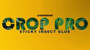 Crop Pro Sticky Insect Glue 500ml | Gam Serangga Melekit Crop Pro 500ml Kalis Cuaca - Tahan lama - Bebas Insektisida - Tidak toksik & Tidak Berbau Gunakan untuk memerangkap ( Lalat - Serangga -Thrips - Alphids - Lalat putih - Jassid - dan lain)